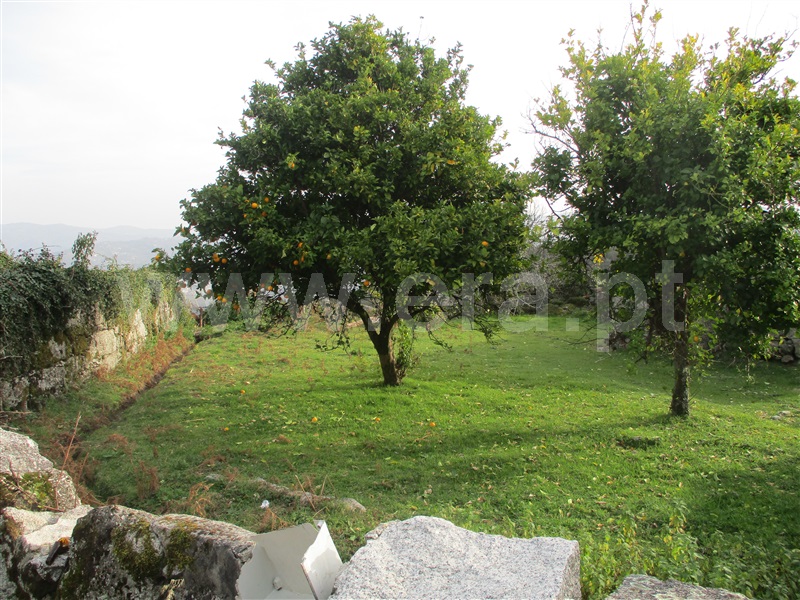 Terreno com ruina  Arcos de Valdevez, Padreiro (Salvador e Santa Cristina) - 989359 - 5