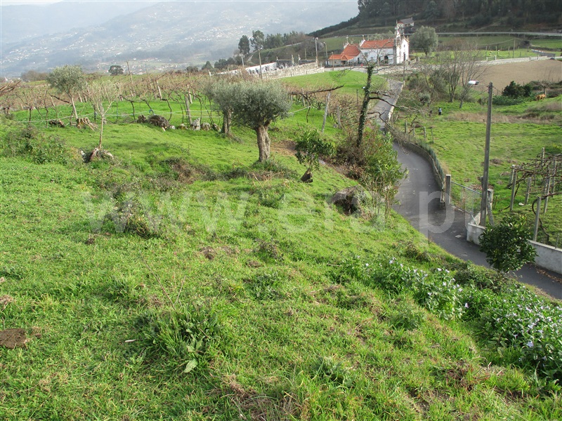 Terreno com ruina  Arcos de Valdevez, Padreiro (Salvador e Santa Cristina) - 989359 - 7