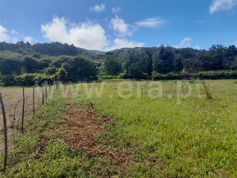 Terreno com ruina  Arcos de Valdevez, Sabadim - 1346516 - 4