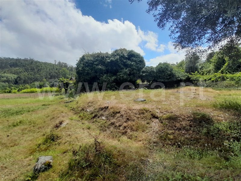 Terreno com ruina  Arcos de Valdevez, Sabadim - 1346516 - 5