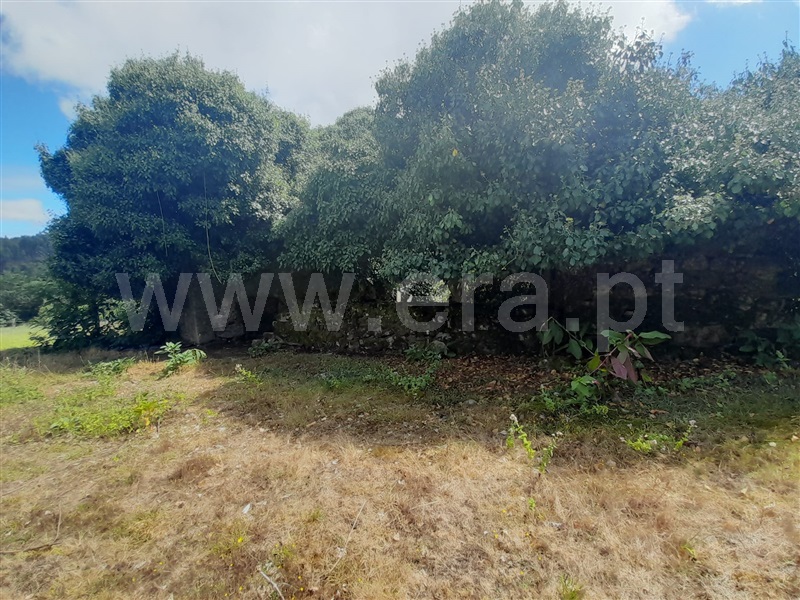 Terreno com ruina  Arcos de Valdevez, Sabadim - 1346516 - 6