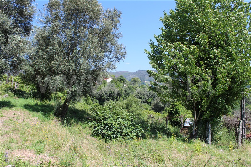 Terreno com ruina  Arcos de Valdevez, Vale - 1178226 - 8