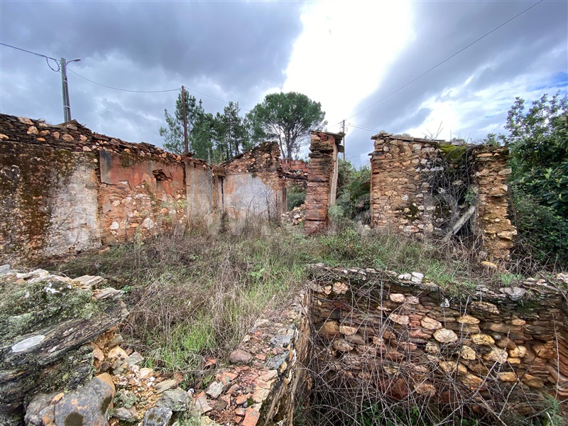 Terreno com ruina  Arganil, Côja e Barril de Alva - 1357165 - 7