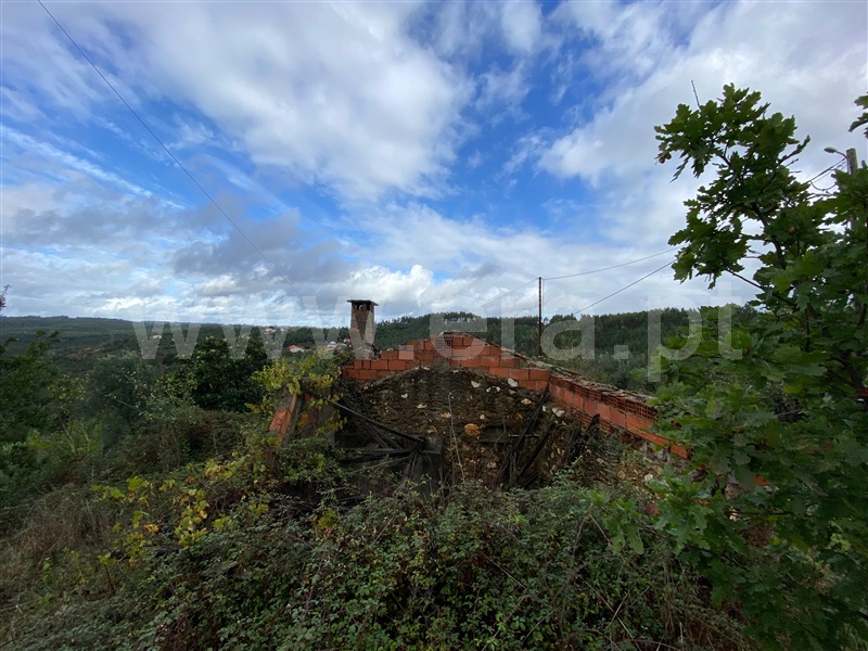Terreno com ruina  Arganil, Côja e Barril de Alva - 1357165 - 8