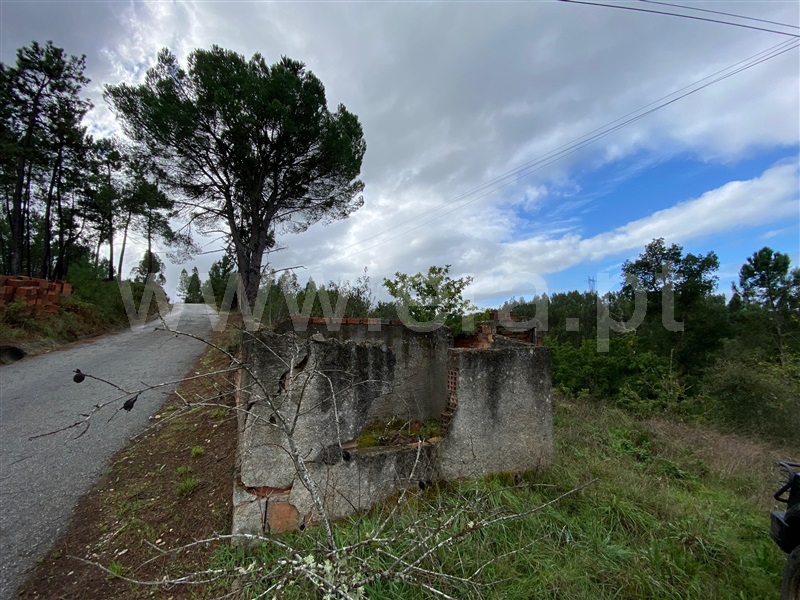 Terreno com ruina  Arganil, Côja e Barril de Alva - 1357165 - 10
