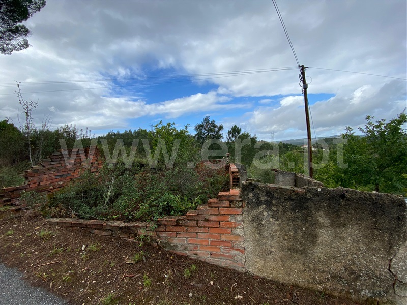 Terreno com ruina  Arganil, Côja e Barril de Alva - 1357165 - 11