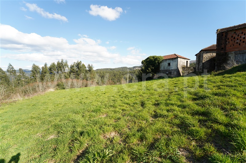Terreno com ruina  Arouca, Chave - 1461546 - 10