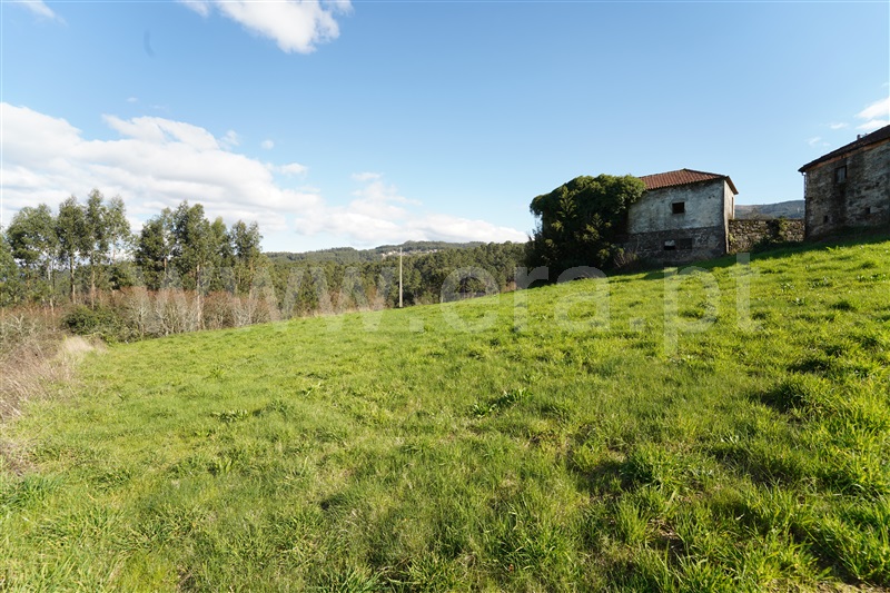 Terreno com ruina  Arouca, Chave - 1461546 - 11