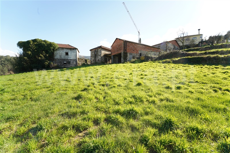 Terreno com ruina  Arouca, Chave - 1461546 - 12