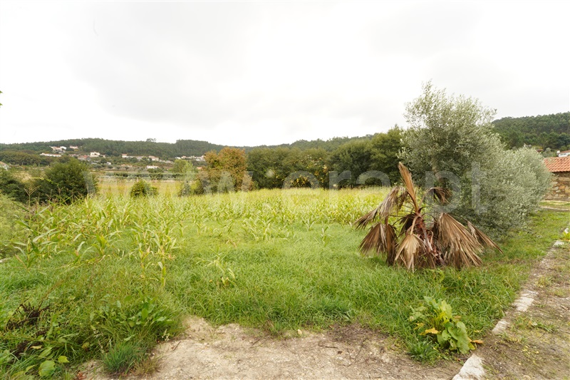 Terreno com ruina / Arouca, Fermedo