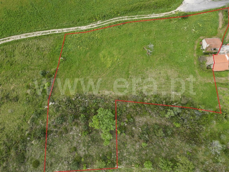 Terreno com ruina  Arruda dos Vinhos, Arranhó - 1467525 - 9