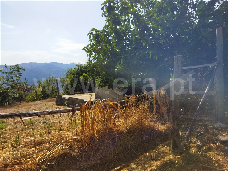 Terreno com ruina  Baião, Baião (Santa Leocádia) e Mesquinhata - 1351520 - 2