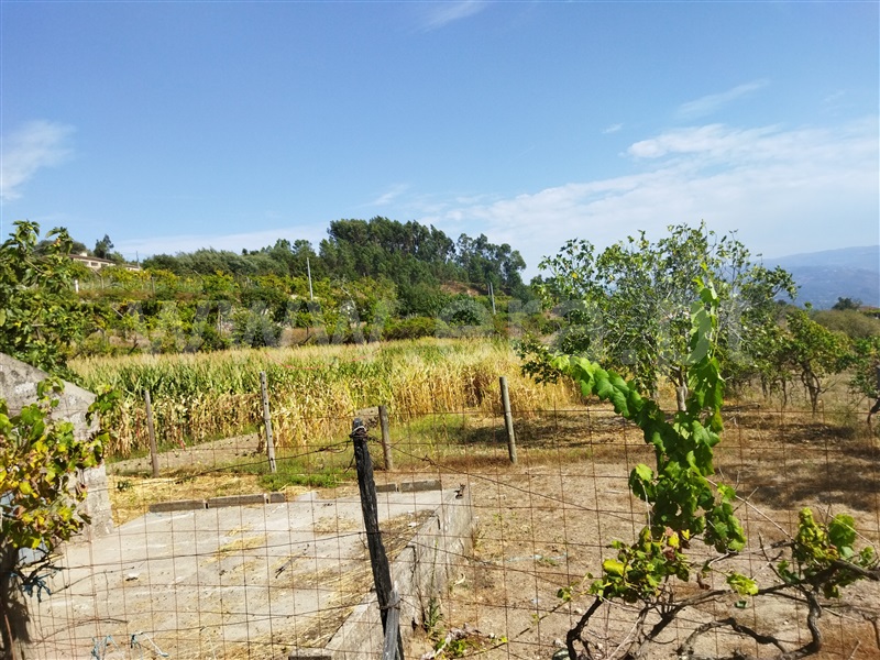 Terreno com ruina  Baião, Baião (Santa Leocádia) e Mesquinhata - 1351520 - 6
