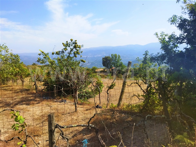 Terreno com ruina  Baião, Baião (Santa Leocádia) e Mesquinhata - 1351520 - 7