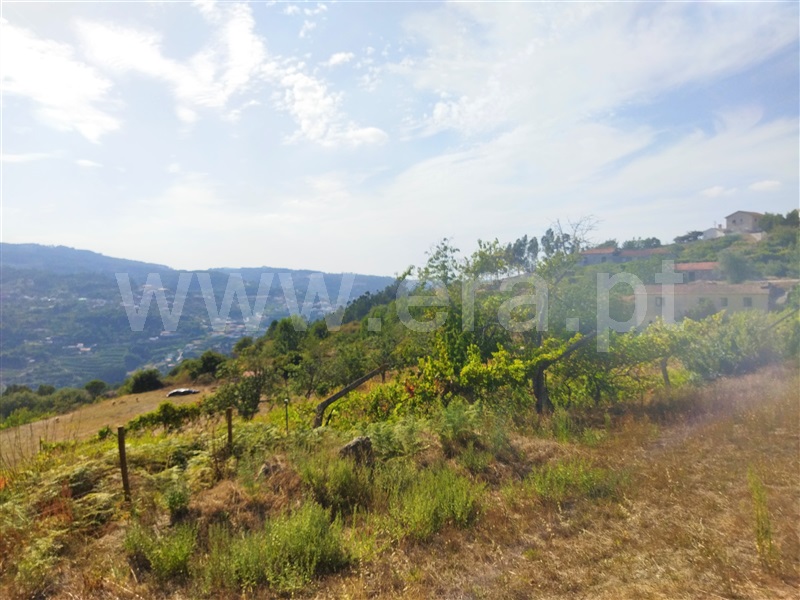 Terreno com ruina  Baião, Baião (Santa Leocádia) e Mesquinhata - 1351520 - 10