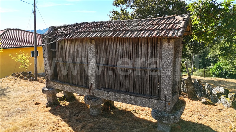 Terreno com ruina  Baião, Campelo e Ovil - 1427638 - 1