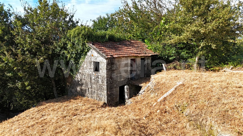 Terreno com ruina  Baião, Campelo e Ovil - 1427638 - 2