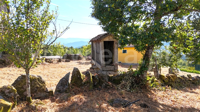 Terreno com ruina  Baião, Campelo e Ovil - 1427638 - 6