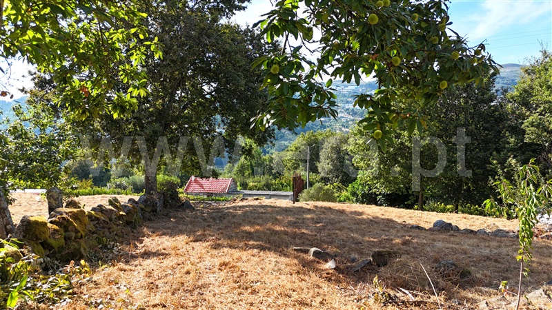 Terreno com ruina  Baião, Campelo e Ovil - 1427638 - 10