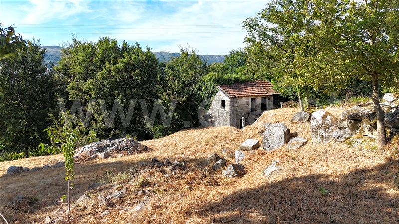 Terreno com ruina  Baião, Campelo e Ovil - 1427638 - 12