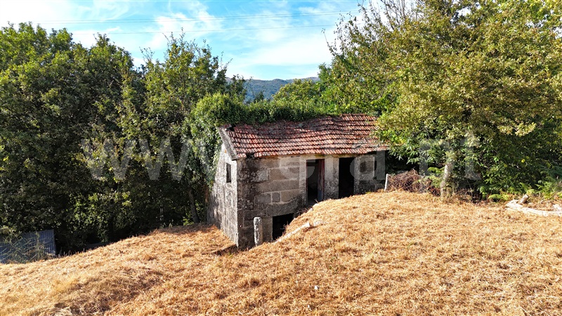 Terreno com ruina  Baião, Campelo e Ovil - 1427638 - 13