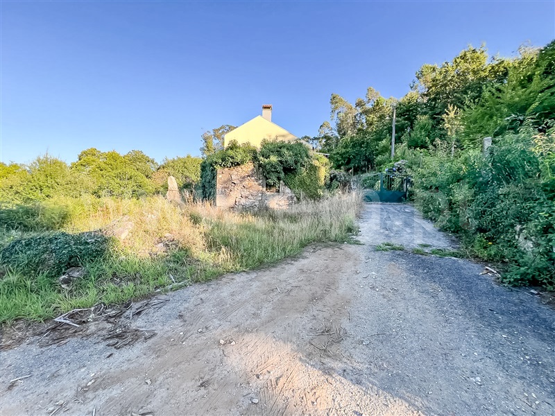 Terreno com ruina  Barcelos, Alheira e Igreja Nova - 1423684 - 3