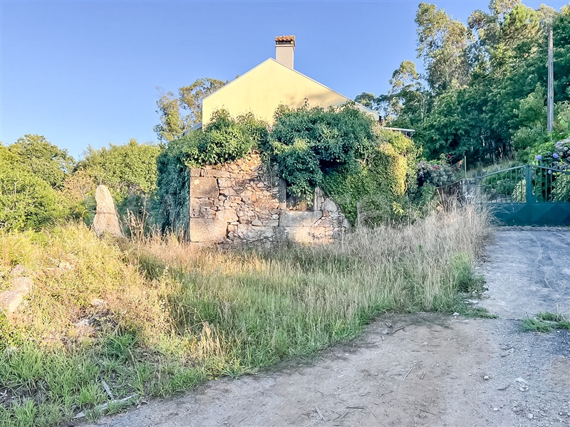 Terreno com ruina  Barcelos, Alheira e Igreja Nova - 1423684 - 4
