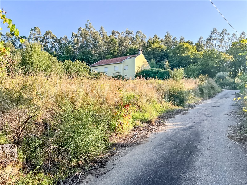 Terreno com ruina  Barcelos, Alheira e Igreja Nova - 1423684 - 5