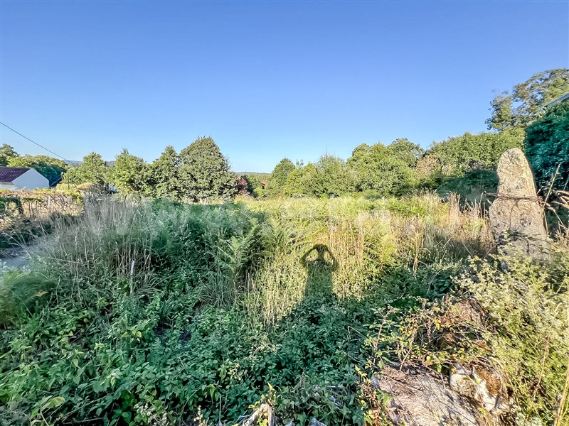 Terreno com ruina  Barcelos, Alheira e Igreja Nova - 1423684 - 7