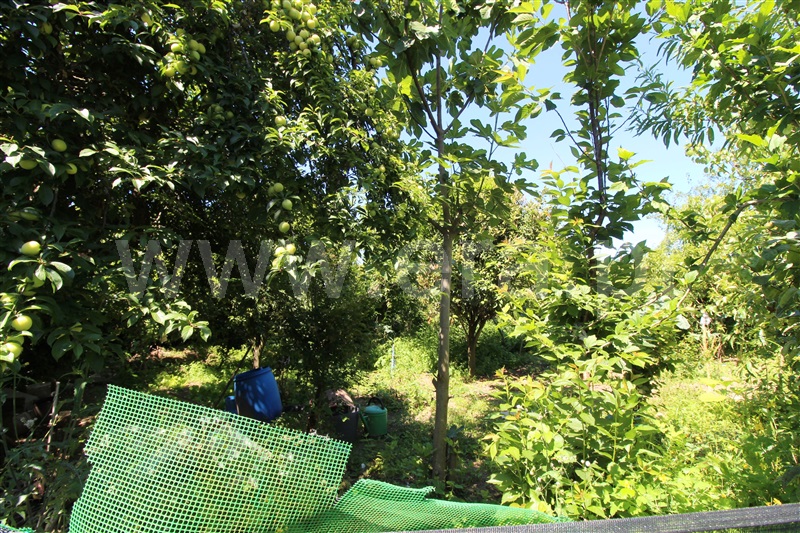 Terreno com ruina  Barcelos, Arcozelo - 1170609 - 7