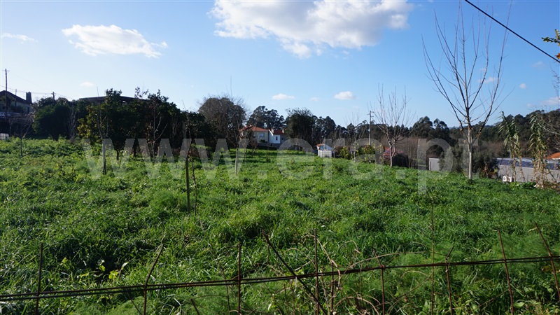 Terreno com ruina / Barcelos, Durrães e Tregosa
