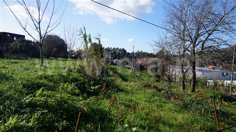 Terreno com ruina  Barcelos, Durrães e Tregosa - 1461508 - 4