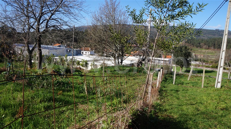 Terreno com ruina  Barcelos, Durrães e Tregosa - 1461508 - 5