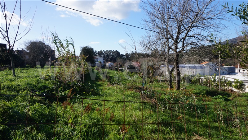 Terreno com ruina  Barcelos, Durrães e Tregosa - 1461508 - 6