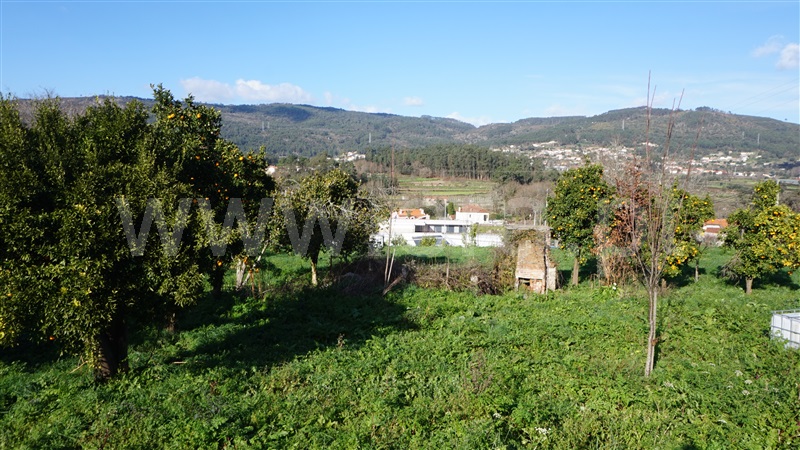 Terreno com ruina  Barcelos, Durrães e Tregosa - 1461508 - 8