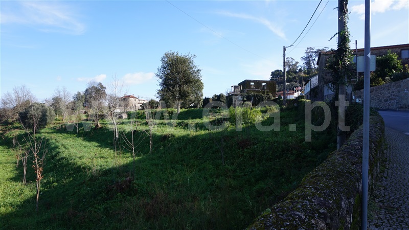 Terreno com ruina  Barcelos, Durrães e Tregosa - 1461508 - 14