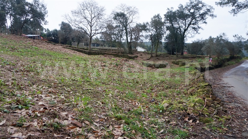 Terreno com ruina  Barcelos, Fragoso - 1187659 - 3