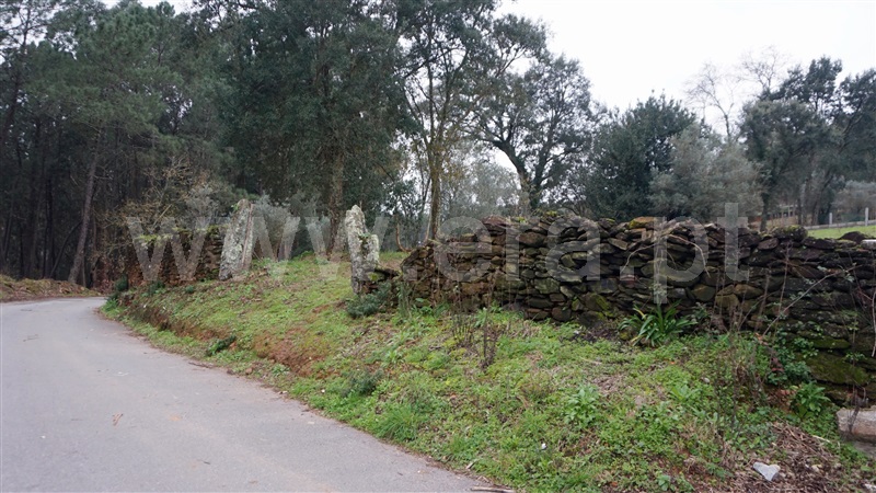 Terreno com ruina  Barcelos, Fragoso - 1187659 - 4