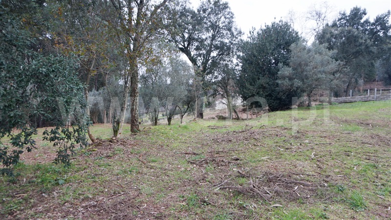 Terreno com ruina  Barcelos, Fragoso - 1187659 - 6