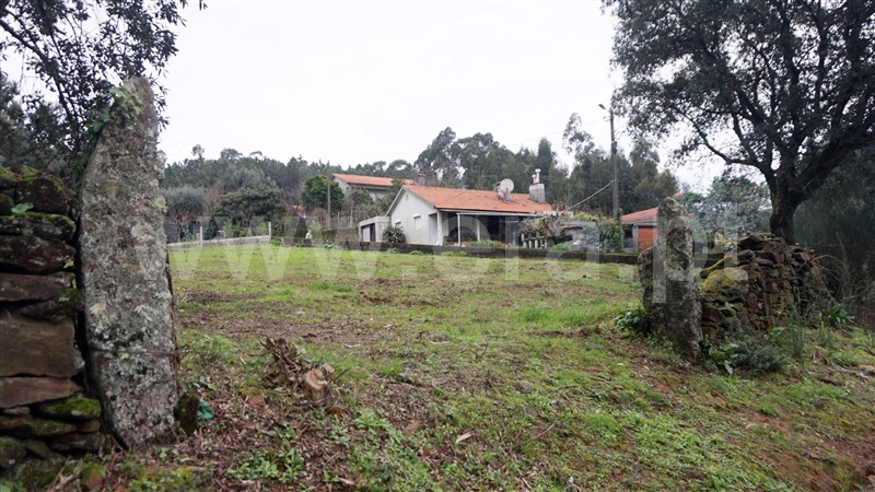Terreno com ruina  Barcelos, Fragoso - 1187659 - 7