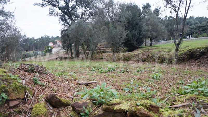 Terreno com ruina  Barcelos, Fragoso - 1187659 - 8