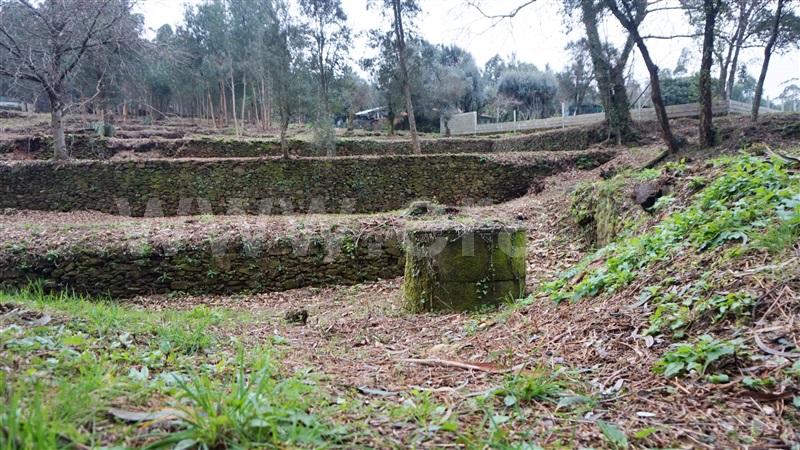 Terreno com ruina  Barcelos, Fragoso - 1187659 - 10
