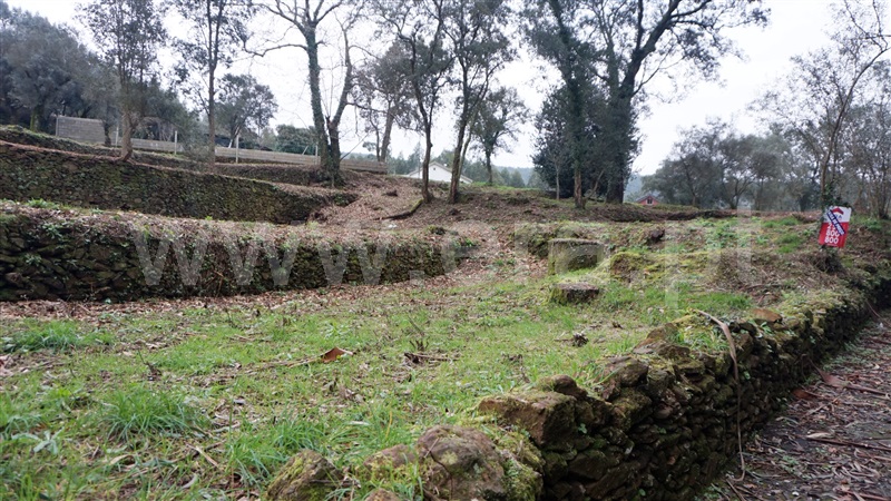 Terreno com ruina  Barcelos, Fragoso - 1187659 - 11