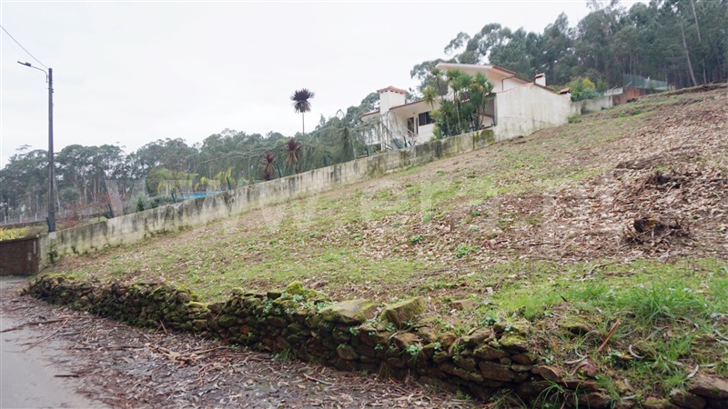 Terreno com ruina / Barcelos, Fragoso