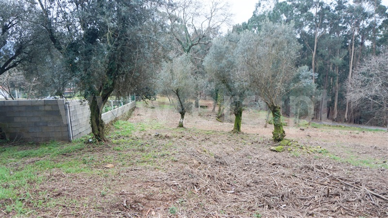 Terreno com ruina  Barcelos, Fragoso - 1187659 - 14