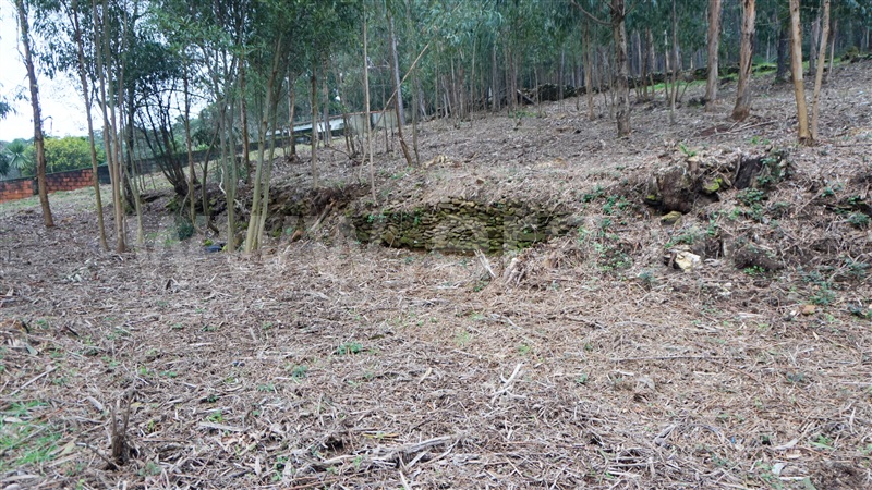 Terreno com ruina  Barcelos, Fragoso - 1187659 - 15