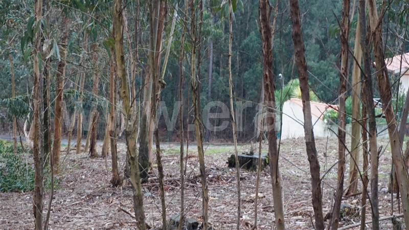 Terreno com ruina  Barcelos, Fragoso - 1187659 - 17