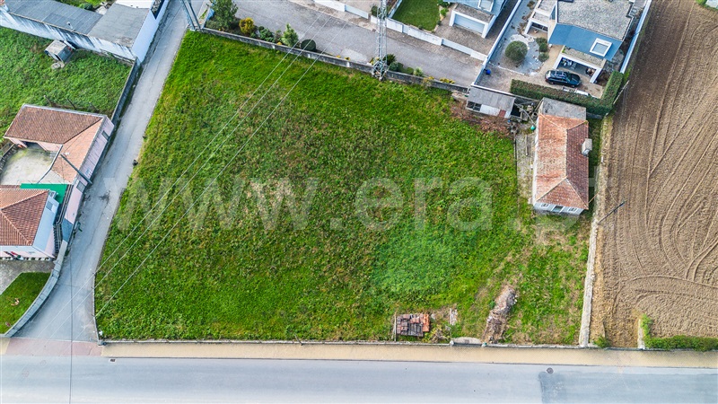 Terreno com ruina / Barcelos, Gamil e Midões