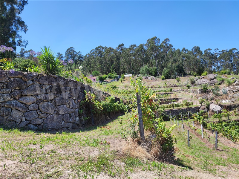 Terreno com ruina  Barcelos, Quintiães e Aguiar - 1420564 - 3
