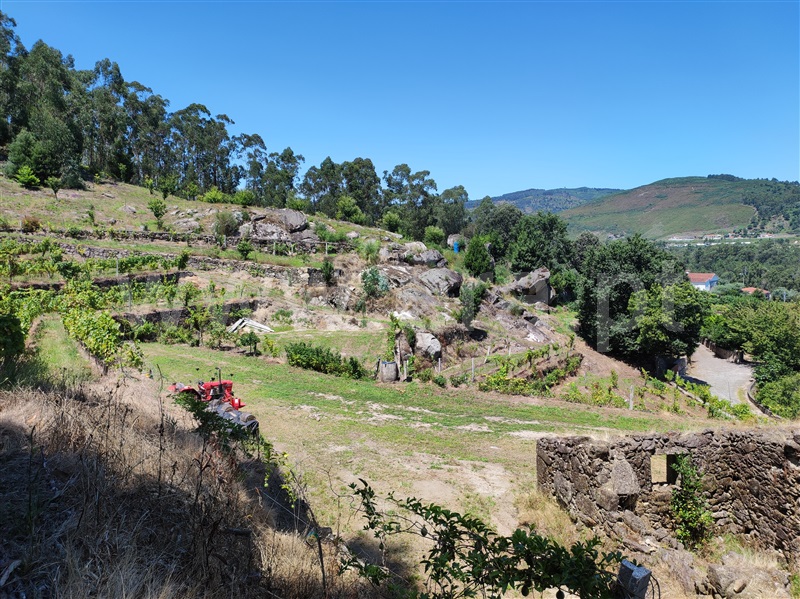 Terreno com ruina / Barcelos, Quintiães e Aguiar